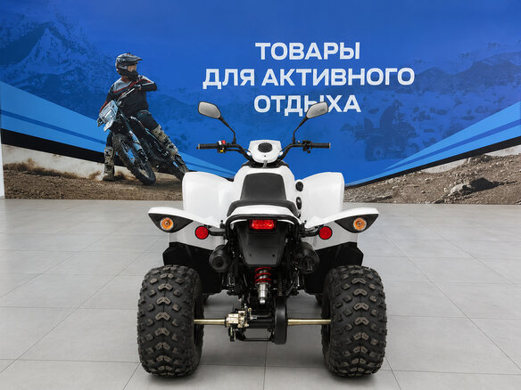 2026 Другие Мотовездеходы (другие), белый, 164600 рублей - вид 3