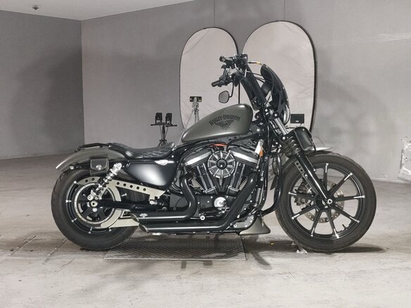 2018 Harley-Davidson Sportster 883, серый, 1090000 рублей
