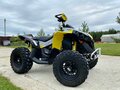 2019 BRP Can-Am Renegade 1000, жёлтый - вид 1