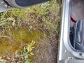 2010 Daewoo Matiz I Рестайлинг, серебристый, 253000 рублей - вид 7