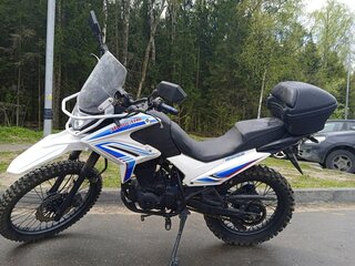 2019 Motoland Enduro 250, белый, 110000 рублей, вид 2