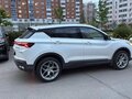 2024 Geely Coolray I Рестайлинг, белый, 2000000 рублей - вид 7