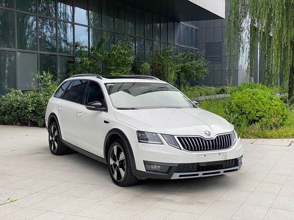 2019 Skoda Octavia III (A7) Рестайлинг, белый - вид 8