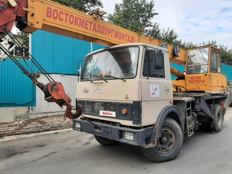 1993 МАЗ Автокраны, бежевый, 460000 рублей, вид 1