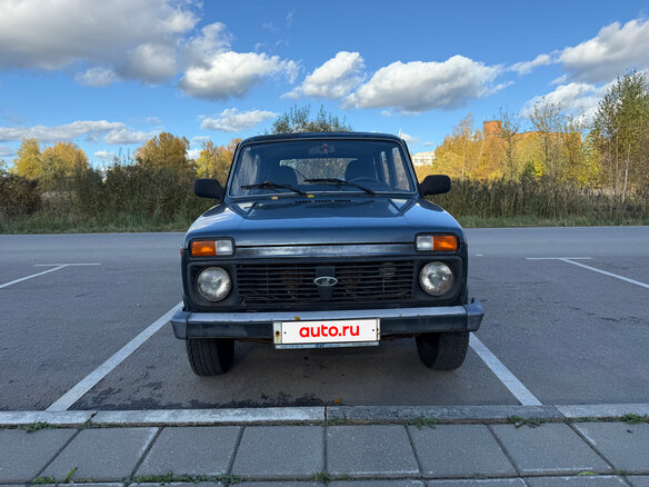 2013 Lada (ВАЗ) 2131 (4x4) 213105 I, серый, 370000 рублей - вид 1