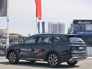 2025 Hongqi HS7 II, коричневый, 4450000 рублей, вид 5