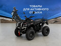 2026 Другие Мотовездеходы (другие), чёрный, 507700 рублей