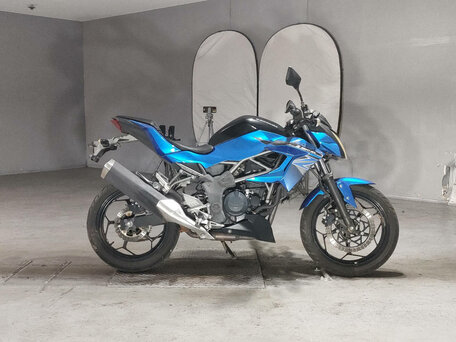 2016 Kawasaki Z 250 SL, синий, 295000 рублей, вид 1