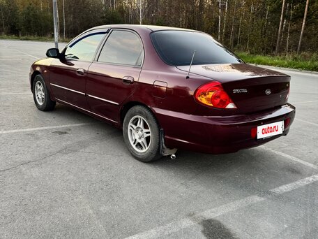 2006 Kia Spectra I Рестайлинг 2, красный, 300000 рублей, вид 4