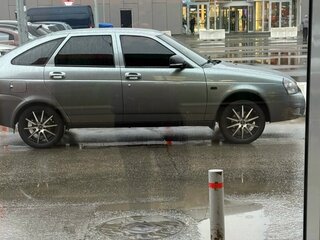 2008 Lada (ВАЗ) Priora I, серый, 295000 рублей, вид 3