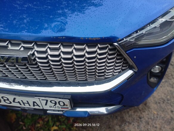 2021 Haval F7 I, синий, 1350000 рублей - вид 11