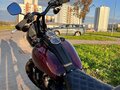 2020 Harley-Davidson Low Rider, пурпурный, 1133321 рублей - вид 5