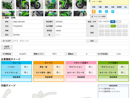 2018 Kawasaki Ninja 1000, зелёный, 955000 рублей, вид 3