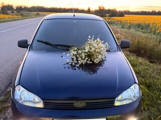 2012 Lada (ВАЗ) Kalina I, синий, 323000 рублей, вид 5