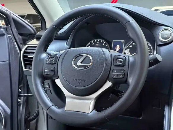 2020 Lexus NX 200 I Рестайлинг, серый - вид 12