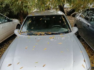 1999 Opel Vectra B, серебристый, 100000 рублей, вид 2