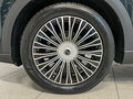 2024 Chery Tiggo 9 I, зелёный, 3050000 рублей - вид 11