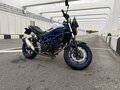 2019 Suzuki SV 650, синий, 700000 рублей - вид 6
