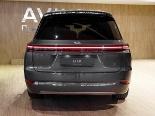 2025 Li Auto (Lixiang) L9 52.3 kWh I Рестайлинг, серый, 12632385 рублей, вид 4