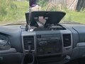 2012 ГАЗ ГАЗель (3302), белый, 800000 рублей - вид 6