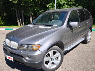 2004 BMW X5 3.0i I (E53) Рестайлинг, серый, 1150000 рублей, вид 1