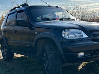 2008 Chevrolet Niva I, синий, 315000 рублей, вид 2