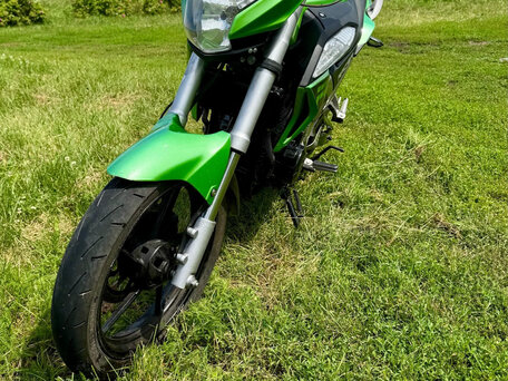 2020 Racer RC300B-F Panther PRO, зелёный, 109000 рублей, вид 3