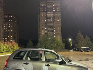 2009 Lada (ВАЗ) Kalina I, серый, 113000 рублей, вид 4