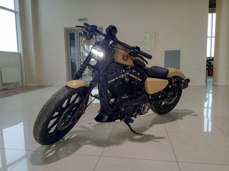 2019 Harley-Davidson Sportster 883, бежевый, 1100000 рублей, вид 1