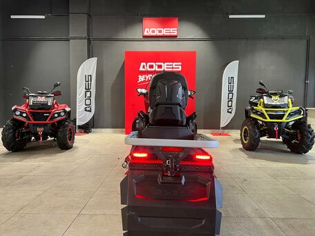 2025 AODES (Odes) Snowcross 1000, красный, 1195000 рублей, вид 5