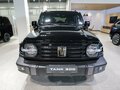 2026 Tank 300 I, чёрный, 5249000 рублей - вид 5