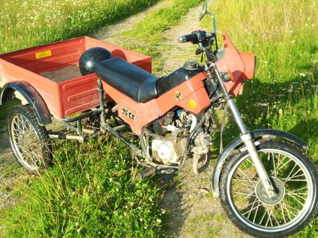 2004 ЗиД 50-02, красный, 35000 рублей, вид 2