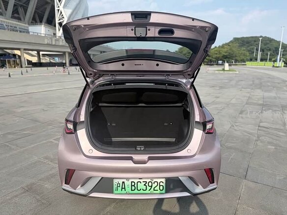 2022 BYD Dolphin 44.9 kWh I, розовый, 1300000 рублей - вид 6