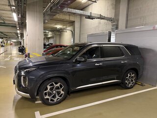 2020 Hyundai Palisade I, серый, 3890000 рублей, вид 3