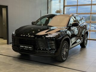 2026 Esteo MX, чёрный, 3990000 рублей, вид 1