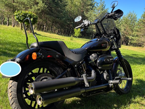 2019 Harley-Davidson Softail Custom, коричневый, 971000 рублей - вид 7
