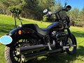 2019 Harley-Davidson Softail Custom, коричневый, 971000 рублей - вид 7