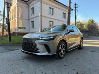 2024 Lexus RX 300 V, серый, 6590000 рублей, вид 1