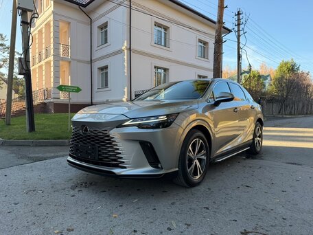 2024 Lexus RX 300 V, серый, 6590000 рублей, вид 2