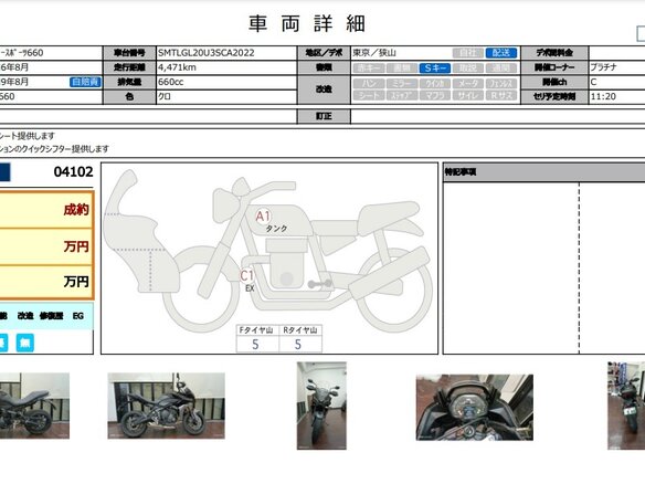 2024 Triumph Tiger Sport 660, чёрный, 755000 рублей - вид 2