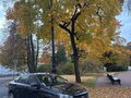 2018 Lada (ВАЗ) Vesta I, чёрный, 1600000 рублей - вид 4