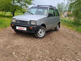 2005 Lada (ВАЗ) 1111 Ока КамАЗ, серебристый, 145000 рублей, вид 1