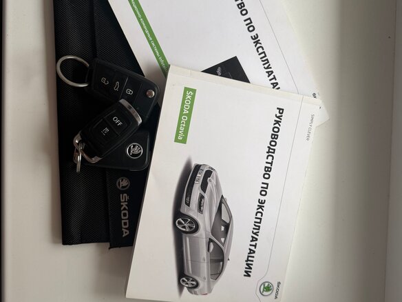 2017 Skoda Octavia III (A7), серебристый - вид 23