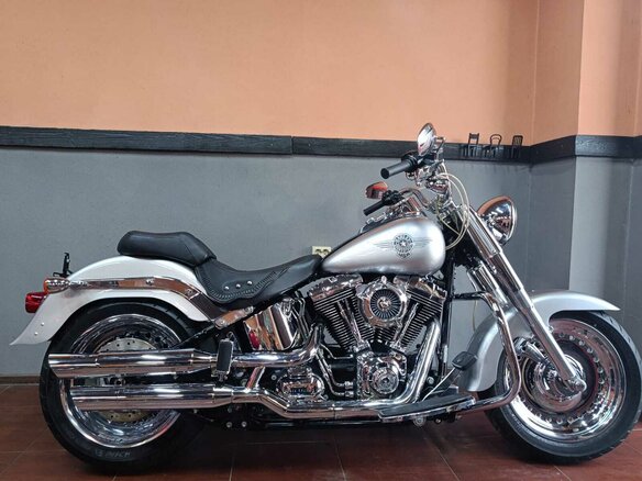 2009 Harley-Davidson Fat Boy, серый, 870000 рублей - вид 6