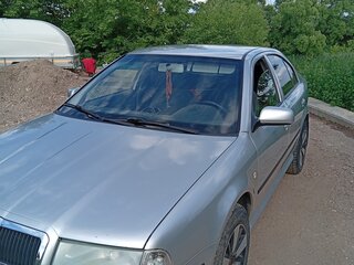 2007 Skoda Octavia I (A4) Рестайлинг, серый, 410000 рублей, вид 1