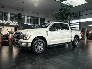 Ford F-150 SuperCrew XIV
