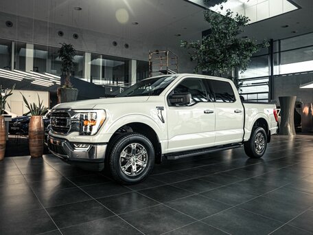 Ford F-150 XIV