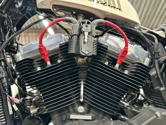 2014 Harley-Davidson Sportster 1200, белый, 1310000 рублей - вид 31