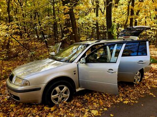 2002 Skoda Octavia I (A4) Рестайлинг, серебристый, 275000 рублей, вид 1