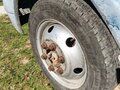 2009 ГАЗ 2747, синий, 500000 рублей - вид 8